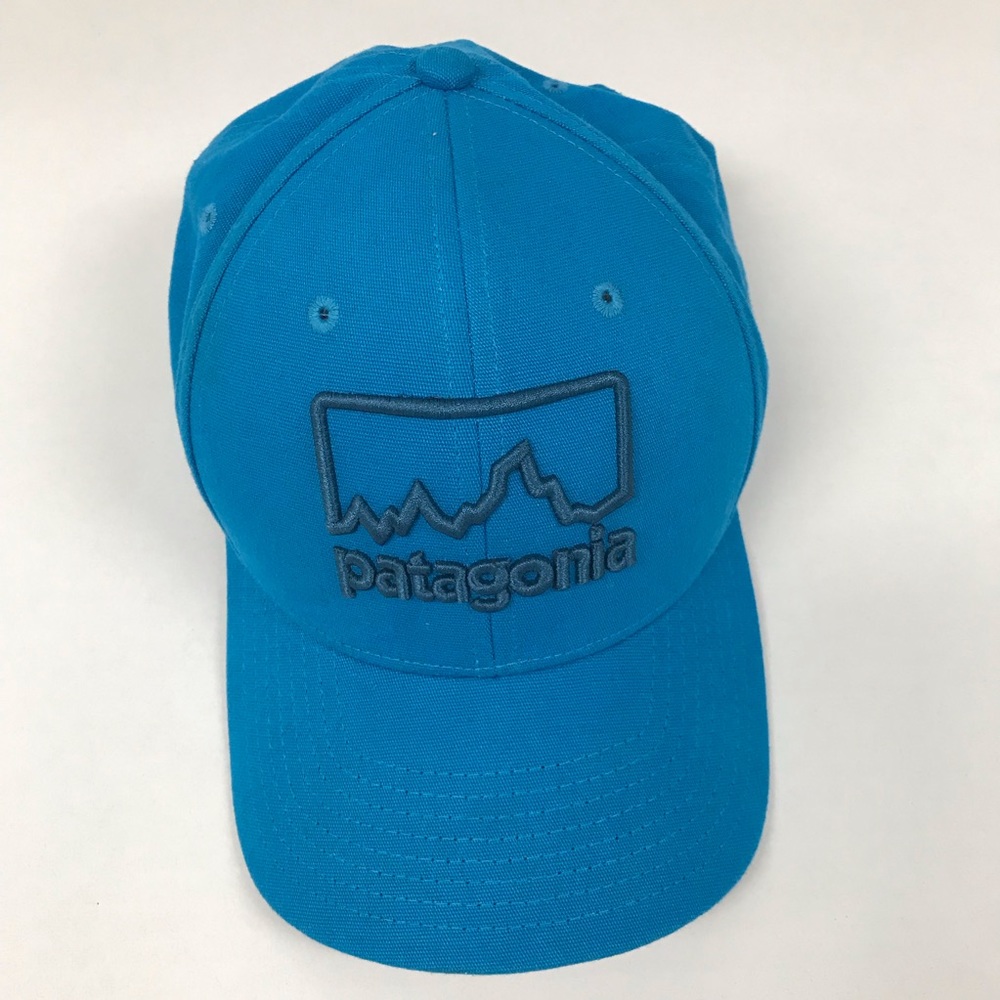 Rare Patagonia Raised Embroidered Logo Hat